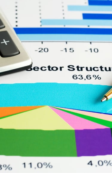 Public Sector Accounting 101: A Practical Course for Non-Accountants