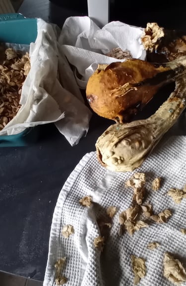 avec des coloquintes créations sculpturales ateliers créatifs