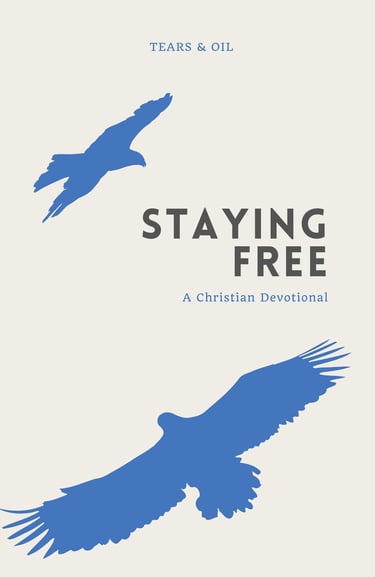 book cover staying free christian devotional blue birds flying