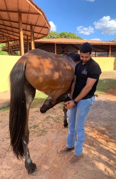 Saúde, desempenho e bem-estar de cavalos atletas monitorados de perto