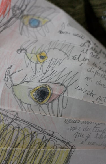 karine-nguyen-van-tham-le feu de l'enfant dessin mediumnique, détail, yeux insectes ailés