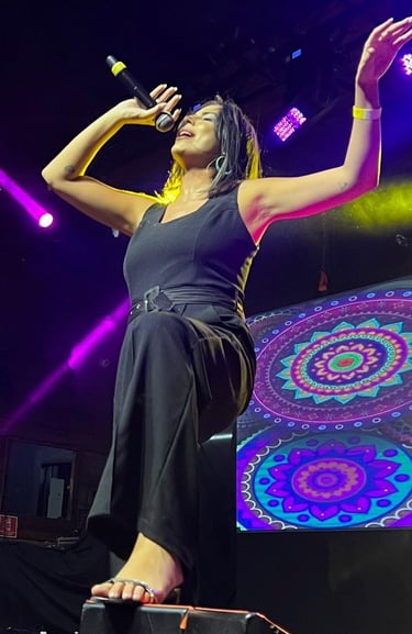 alt="banda para casamento em São Paulo FF Produções Artísticas"