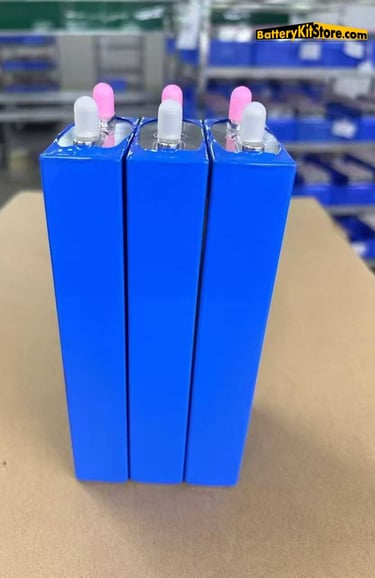 detail of LiFePO4 prismatic battery cells