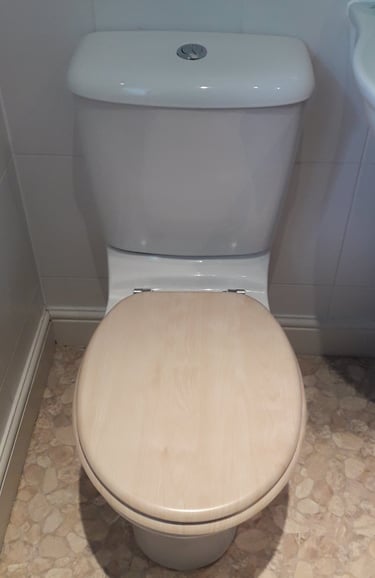 leaking toilet in High Bickington
