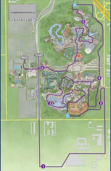 2016 runDisney Disneyland 10K Course Map