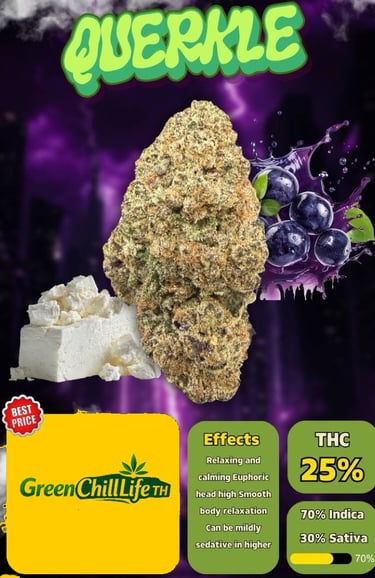 Hua Hin Dream cannabis flower with a balanced profile, available for adults aged 20+ within Thailand only.