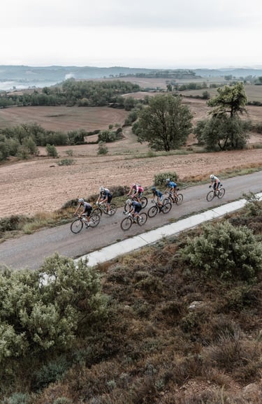 a group of cyclists riding down a road