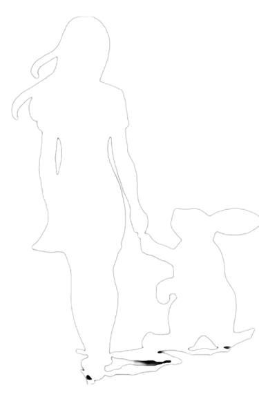 follow the with rabbit