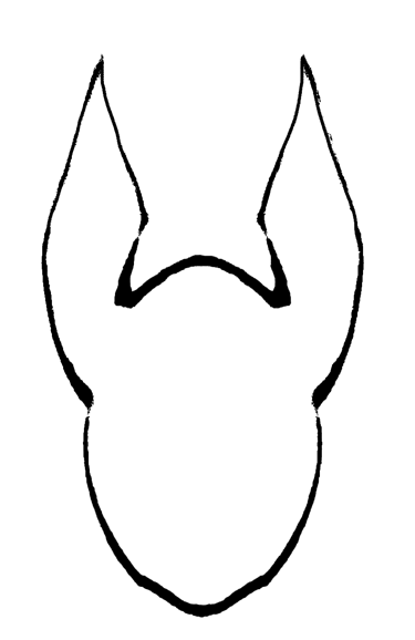 Anubis BioConsulting logo