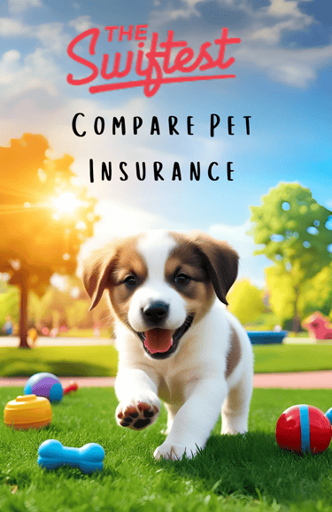 pet insurance