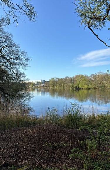 Live in the here and now and notice the positives around you