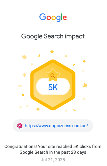 An award from google for achieving the highest site traffic to date from google search