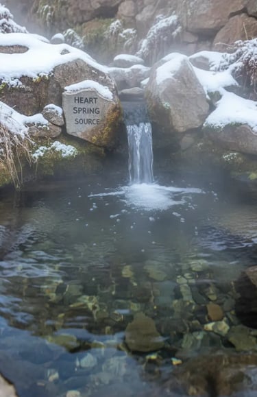 A natural hot spring source with water cascading over rocks into a clear pool, featuring a sign that