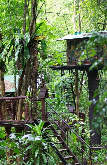 thailand khao sok national park cheow larn lake treehouse