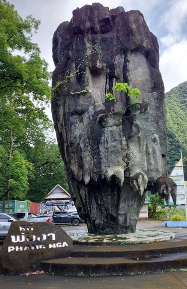 thailand phang nga mangrove forest park
