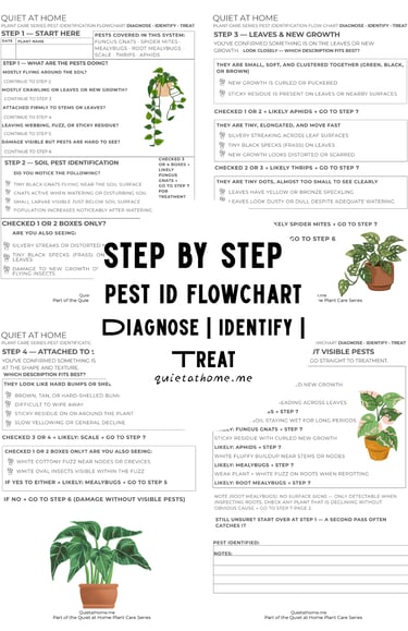 printable houseplant pest identification flowchart showing step by step diagnosis for fungus gnats s