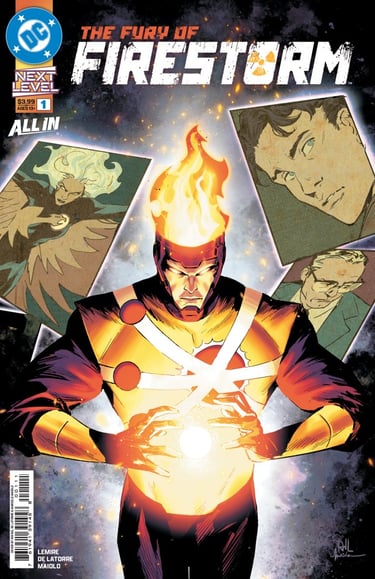 The Fury of Firestorm #1