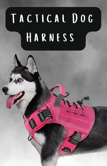 dog harness
