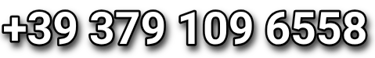 Numero telefono wtsup