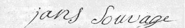 Jans Sauvage