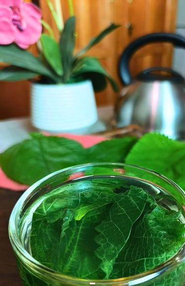 Herbal Tea