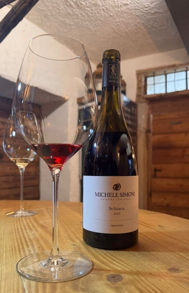 Vino Schiava Michele Simoni Trentino selezione enoteca ristoranti Toscana