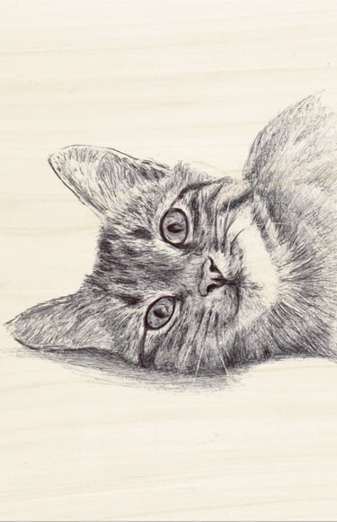 portrait de chaton au stylo BIC imprimé bois FSC