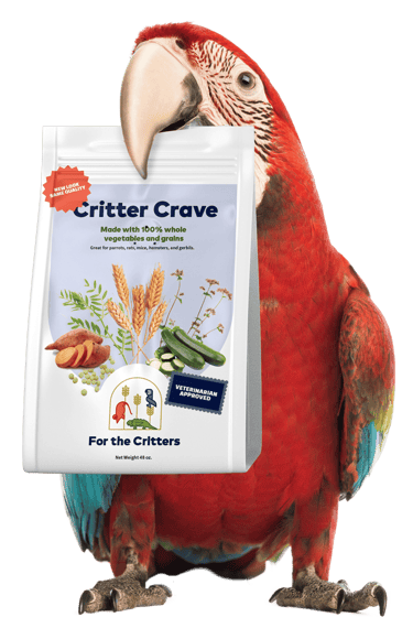red parrot holding a bag of critter crave bird snacks in its beak