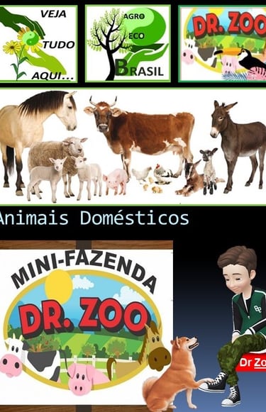 Animais Domésticos - Doutor Zoo