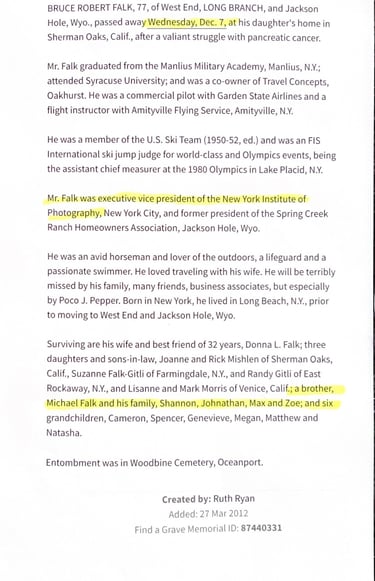 Bruce Falk the Plane Crasher