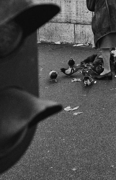 a woman on a bridge with pigeons, a red light in foreground