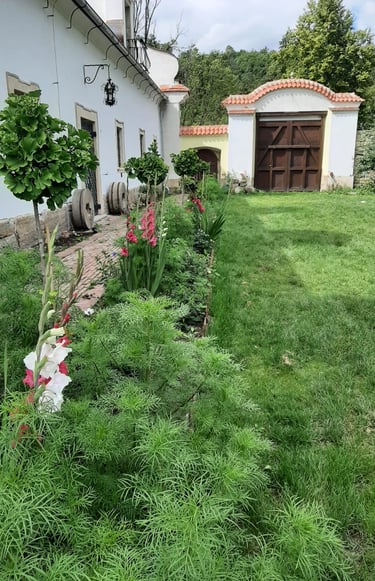 svatba nebo oslava na zahradě nedaleko Prahy