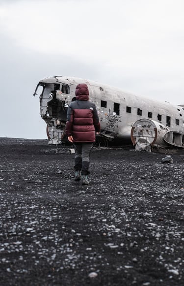 a person standing in front of a plane that has been destroyed