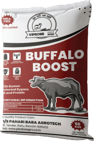 Best calf starter feed for fast growth - VIPROMI Chhota Bheem