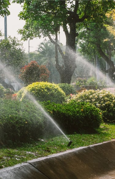 çim ve peyzaj uygulamalarıyla tamamlanan dış mekan