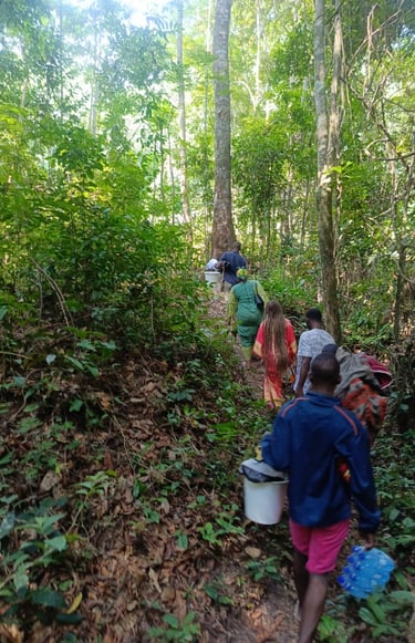 Randonnée en forêt. Immersion pratique dans l'environnement naturel - Bwiti - MIKOUMOU VILLAGE