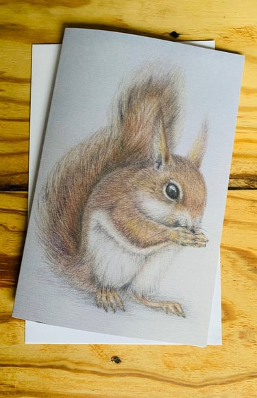 Red squirrel