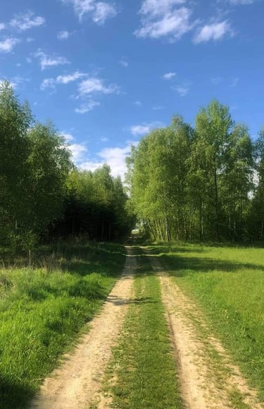 Sękiewiczówka - agroturystyka małopolska - gospodarstwo agroturystyczne dla dzieci