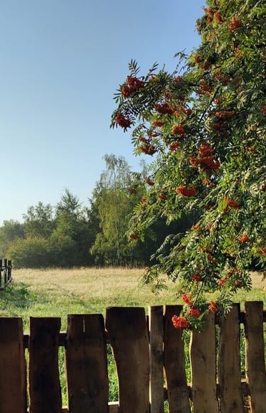 Sękiewiczówka - agroturystyka małopolska - gospodarstwo agroturystyczne dla dzieci