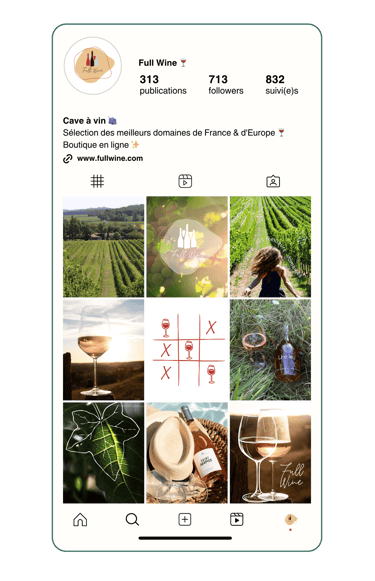 aperçu fil instagram full wine