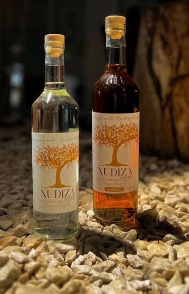Xudiza Vigate 
