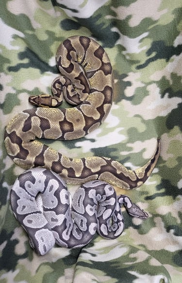 Enchi True Ghost-Pet Den