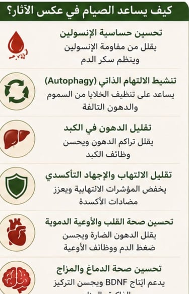 الفركتوزالمُخفي والصيام:هل يمكن للصيام عكس آثاره الضارة؟🍭