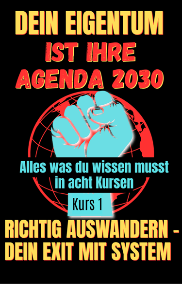 buch cover dexit richtig auswander raus aus dme system i