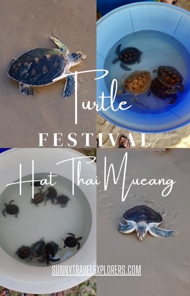 TURTLE RELEASING FESTIVAL THAI MUEANG KHAO LAK PHANG THAILAND