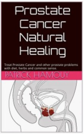 Prostate cancer natural healing