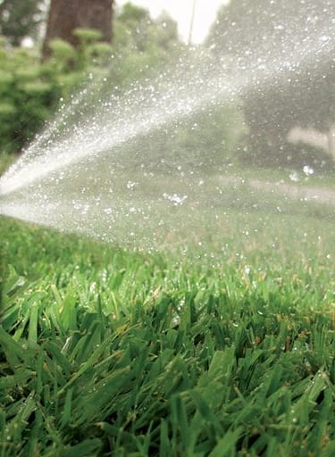 bahçe peyzaj tasarımı ile yenilenmiş çevre düzeni