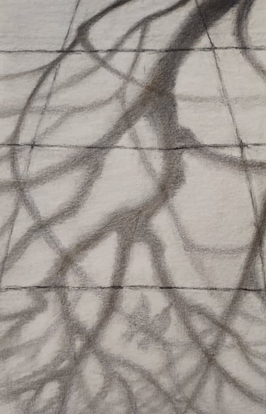 This is a small graphite drawing representing the shadow of a tree upon whose branches sit two birds