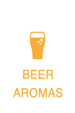 Beer aromas