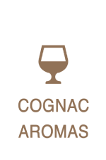 Cognac aromas
